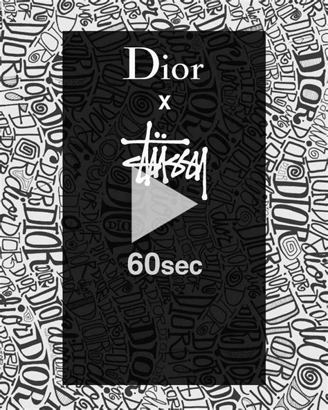 dior x shawn stussy.